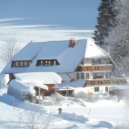 Ferienhaus Kaltenbach 티티제-노이슈타트 외부 사진
