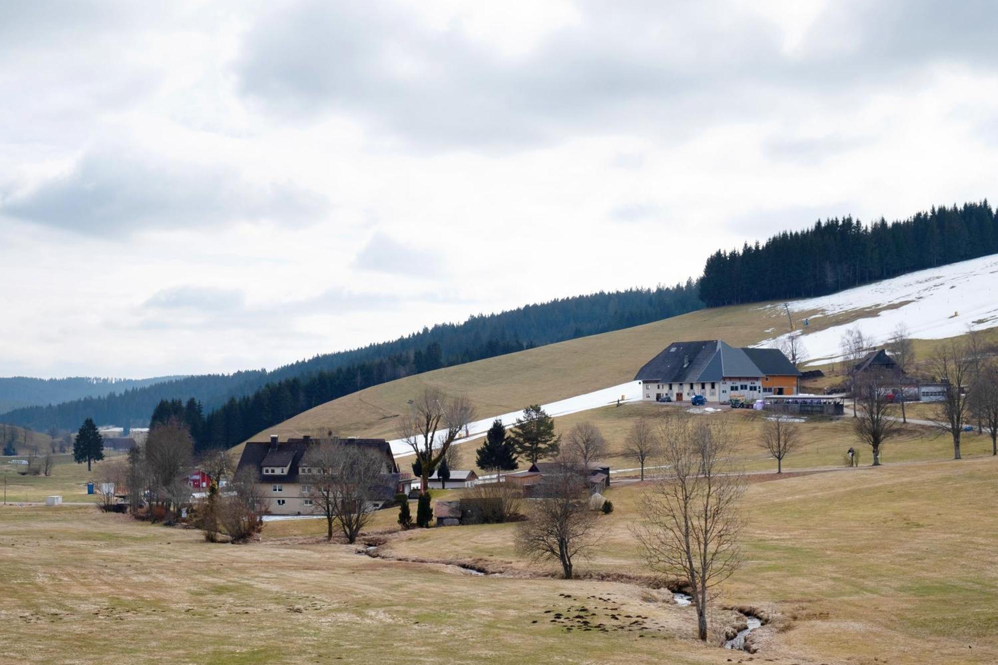 Ferienhaus Kaltenbach 티티제-노이슈타트 외부 사진