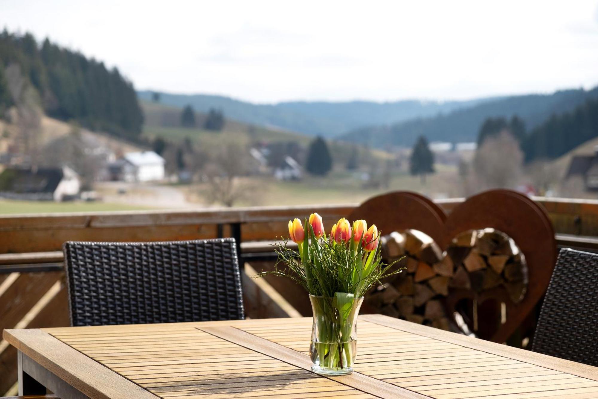 Ferienhaus Kaltenbach 티티제-노이슈타트 외부 사진