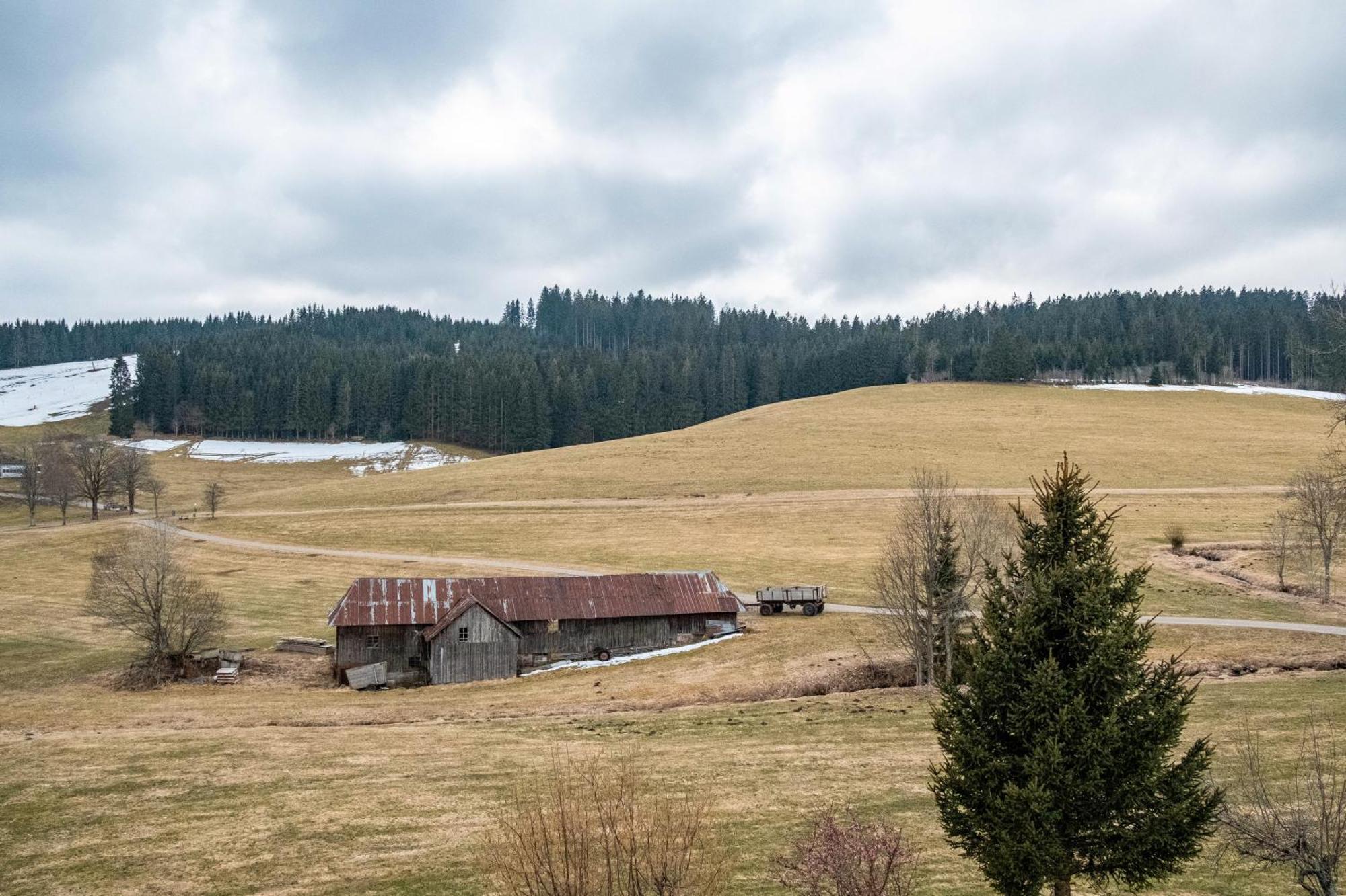 Ferienhaus Kaltenbach 티티제-노이슈타트 외부 사진